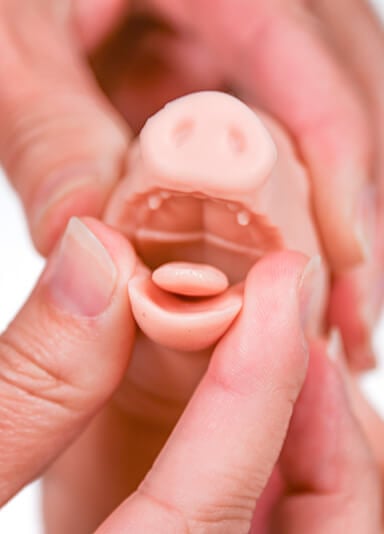 Image of open mouth of Kind Piglet